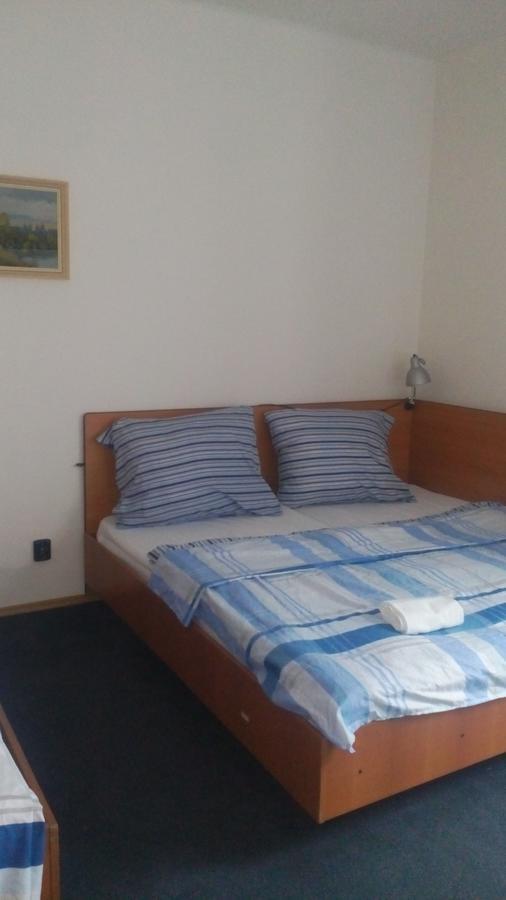 Hotel Britz Velké Hamry 外观 照片
